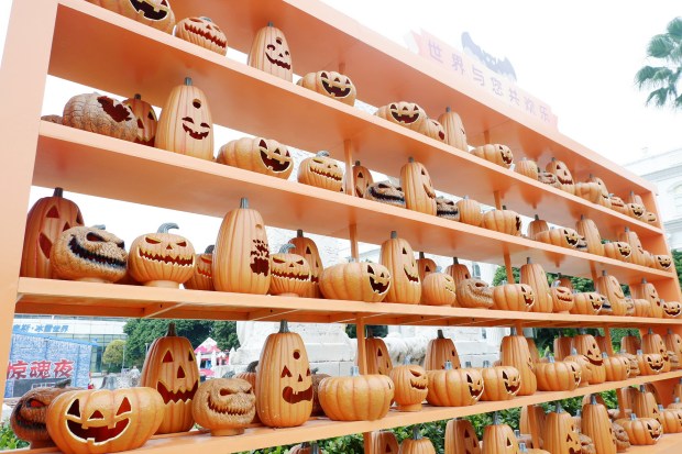 Processed with VSCO with  preset