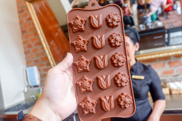 LRM_EXPORT_333067537138828_20190226_011654169