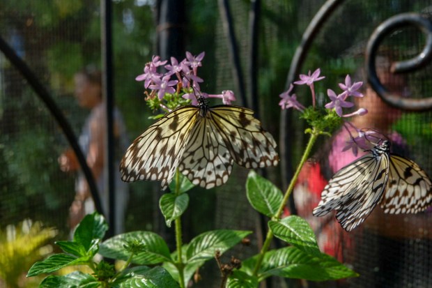 LRM_EXPORT_32436470108197_20190310_164026588