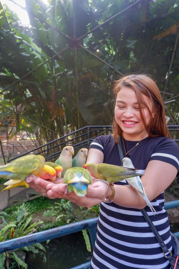 LRM_EXPORT_32815374404511_20190310_164645493