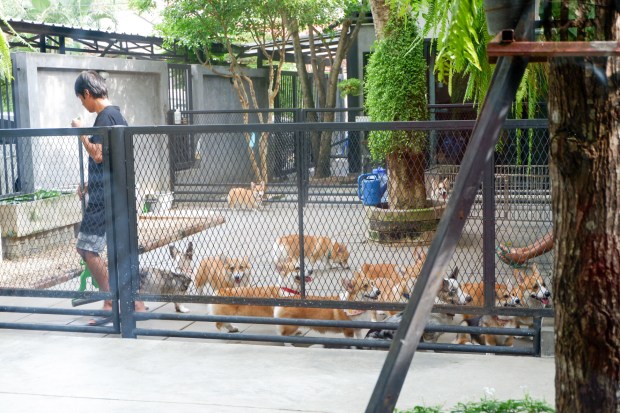 LRM_EXPORT_358263614420070_20190730_204036907