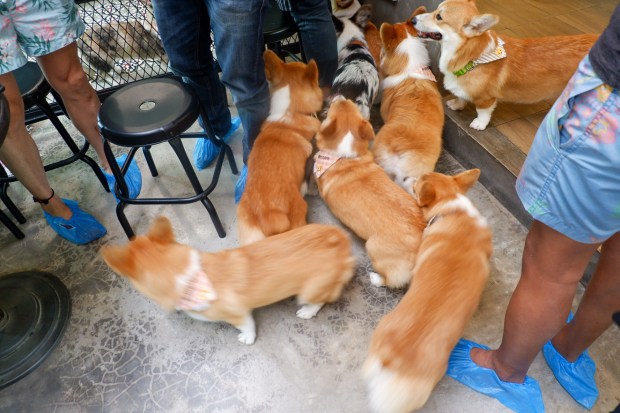 LRM_EXPORT_358297216806255_20190730_204110509