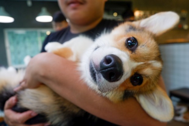 LRM_EXPORT_358361049580710_20190730_204214342