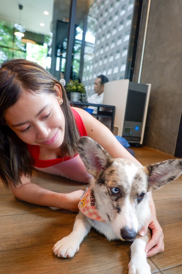 LRM_EXPORT_360787705601451_20190730_212240998