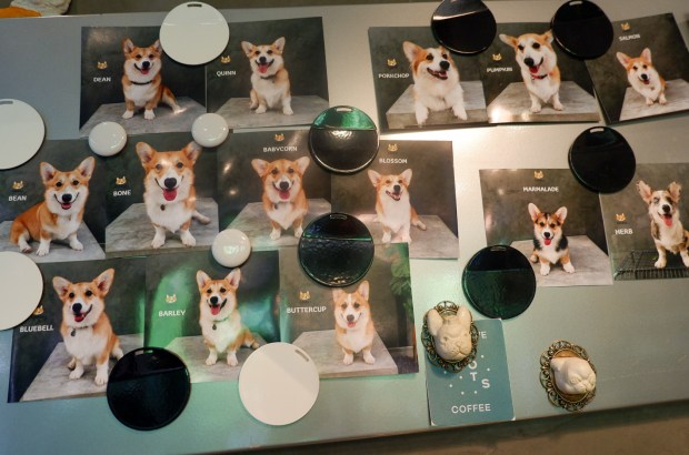 LRM_EXPORT_361292335981154_20190730_213105628