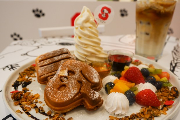 LRM_EXPORT_30914664950598_20190818_182628916